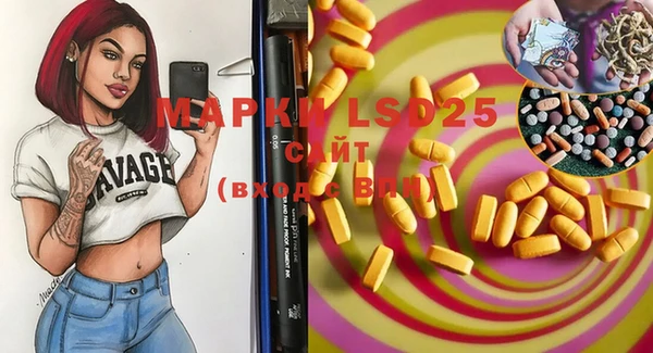 ECSTASY Алзамай