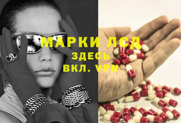 ECSTASY Алзамай
